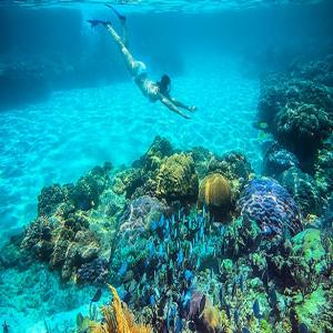 COZ-27 - Εξερεύνηση του Κοζουμέλ με Jeep & Snorkeling image 2