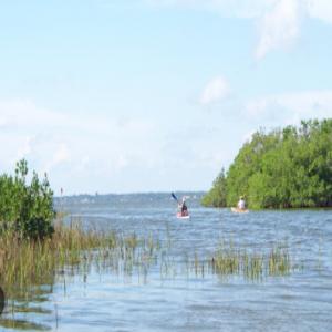 CPV-07T - Kayak στο Manatee Cove