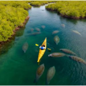 CPV-07T - Kayak στο Manatee Cove image 2